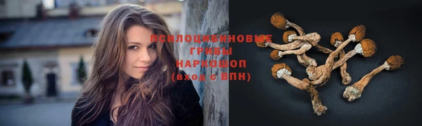 MESCALINE Богородицк
