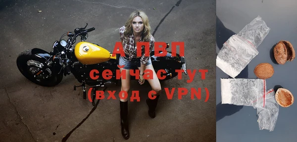 ГАЛЛЮЦИНОГЕННЫЕ ГРИБЫ Переславль-Залесский